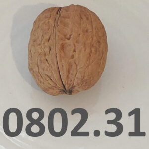 A walnut and its HS, Harmonized System code, 080231, used to represent our article on customs classification and the Harmonized system.